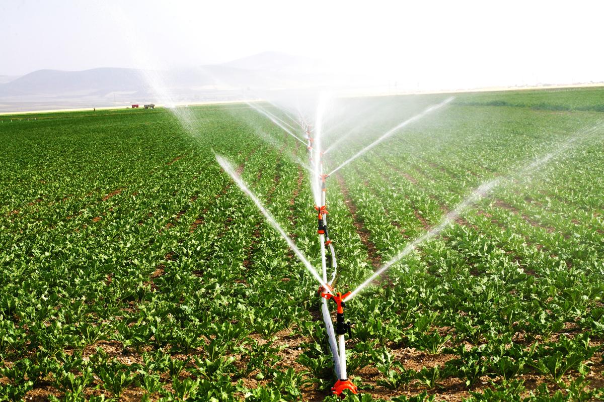 sprinkler irrigation