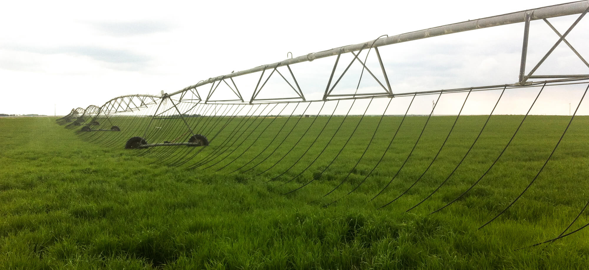PMDI and Subsurface drip irrigation