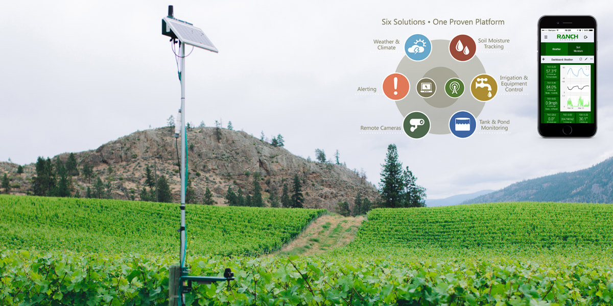 ranch digital farming control system in vineyard