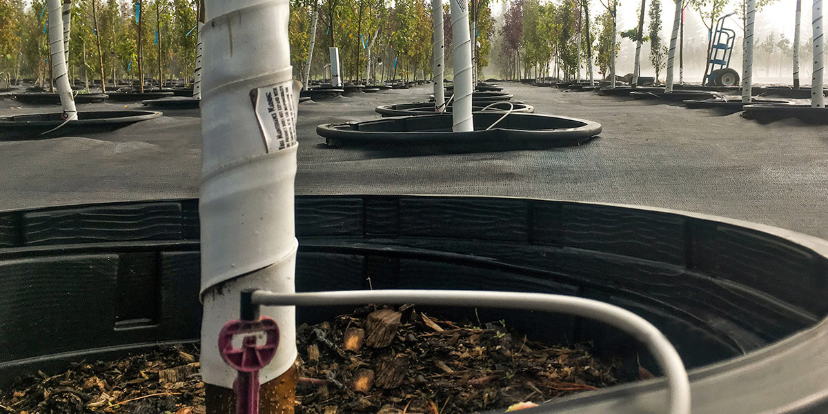 spray stakes irrigating in nursery
