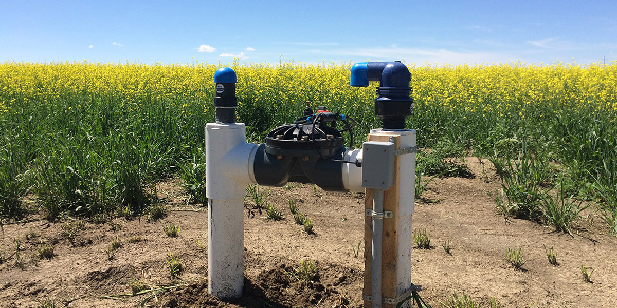 subsurface drip irrigation electric valve canola field