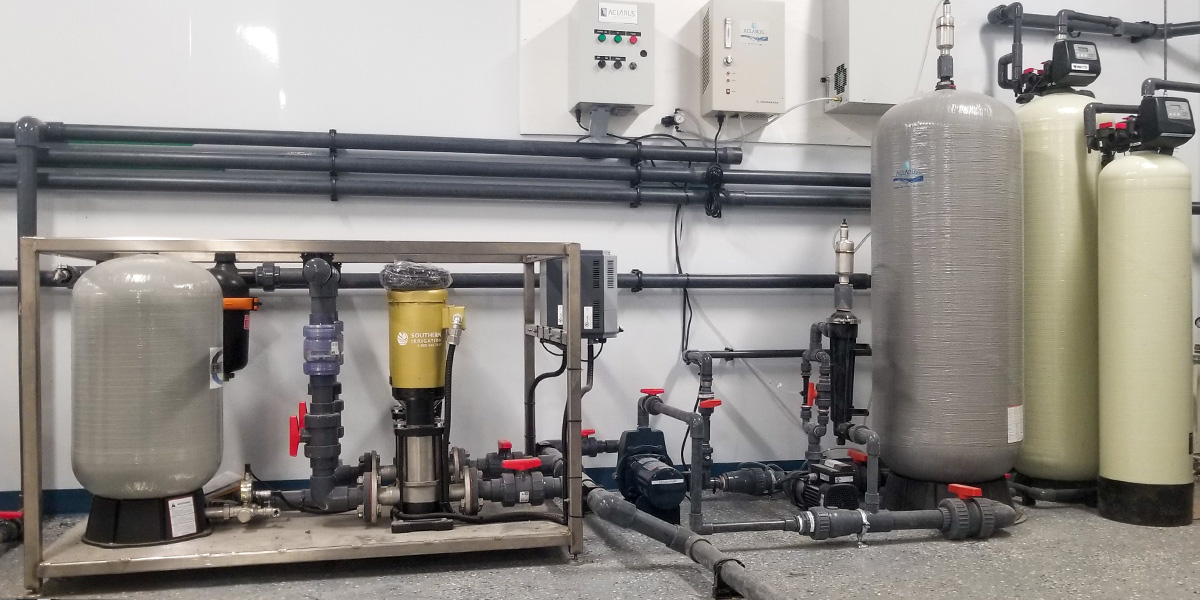pumps and water treatment