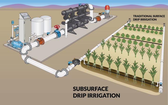 subsurface drip irrigation layout subsurface drip irrigation diagram