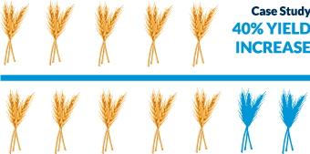 40% crop yield increase 