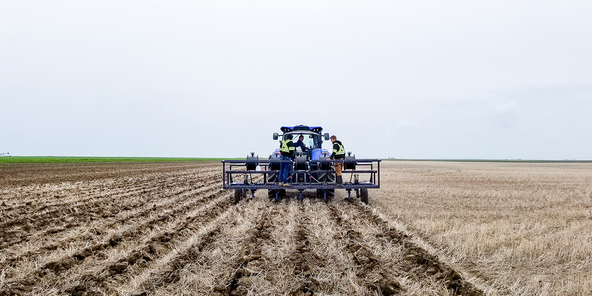 subsurface drip irrigation