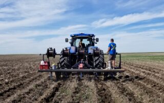 subsurface drip irrigation