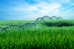 Zimmatic pivot span