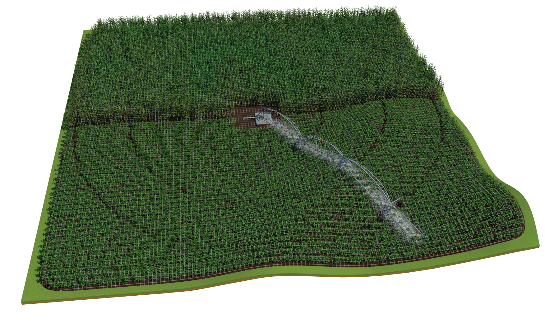 CropTypes_withGrid—Copy