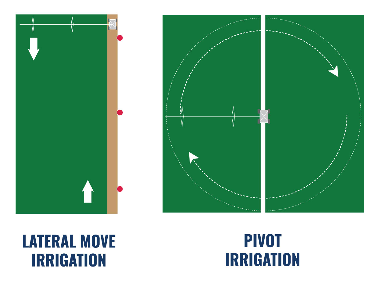 Lateral.VisionGraphic_Fields lateral and pivot