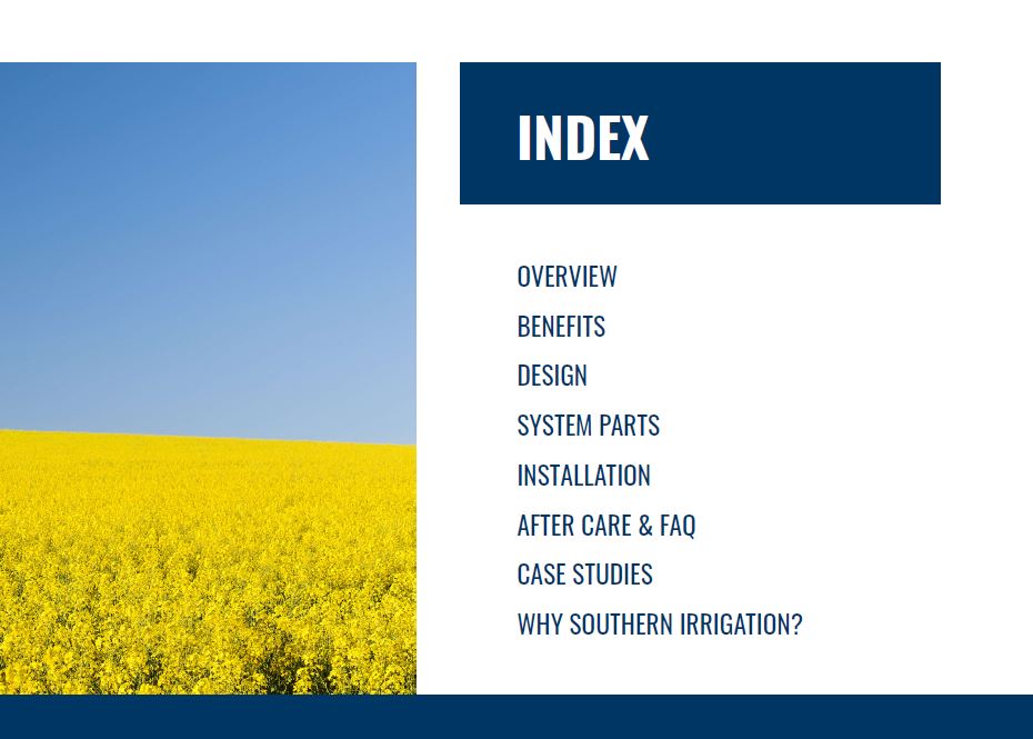 SDI index