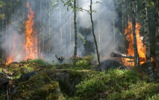 Fire suppression sprinklers