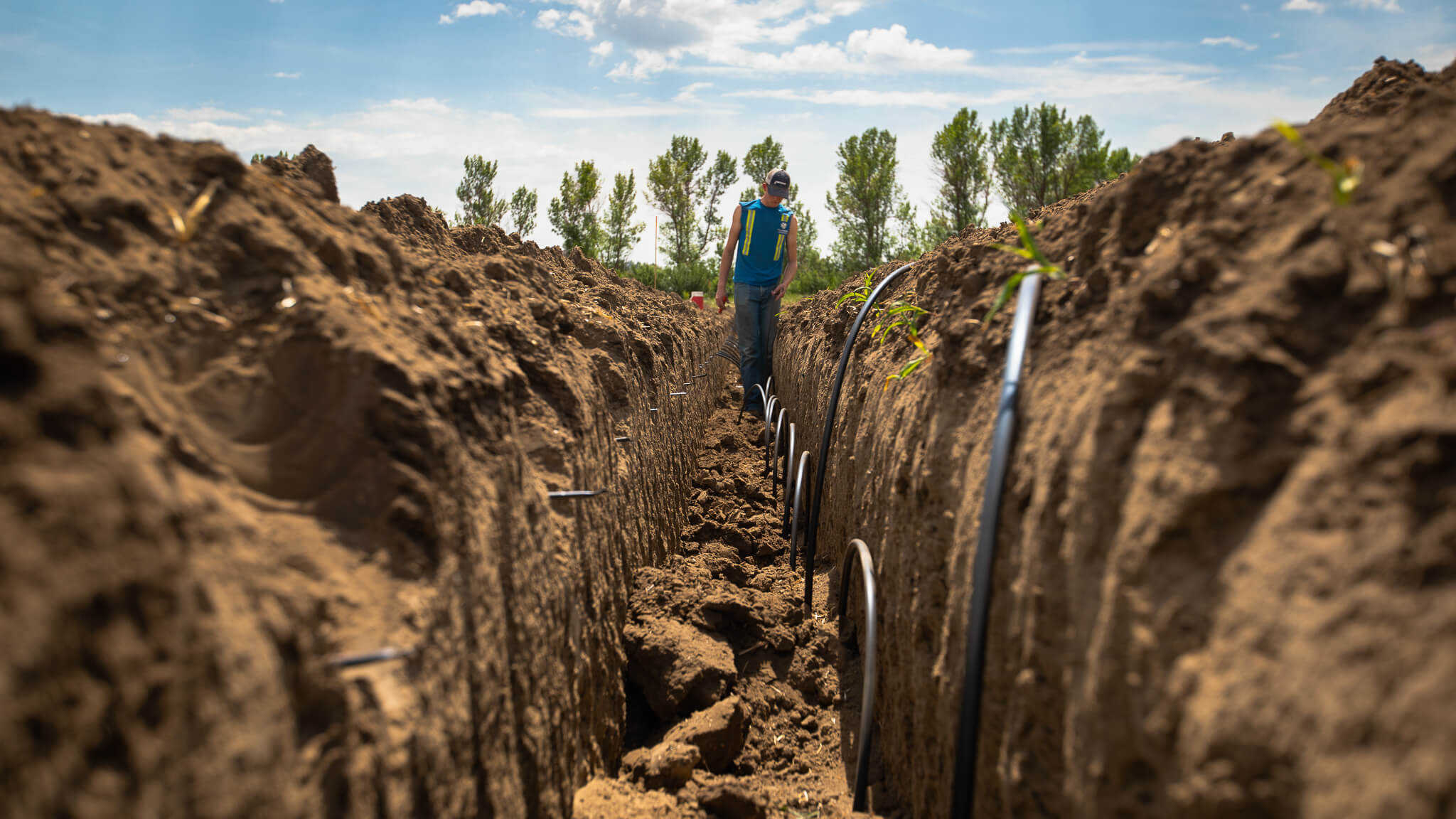 subsurface drip irrigation