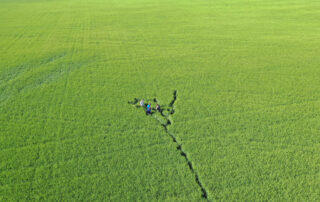 Subsurface drip irrigation Valk Land and Cattle