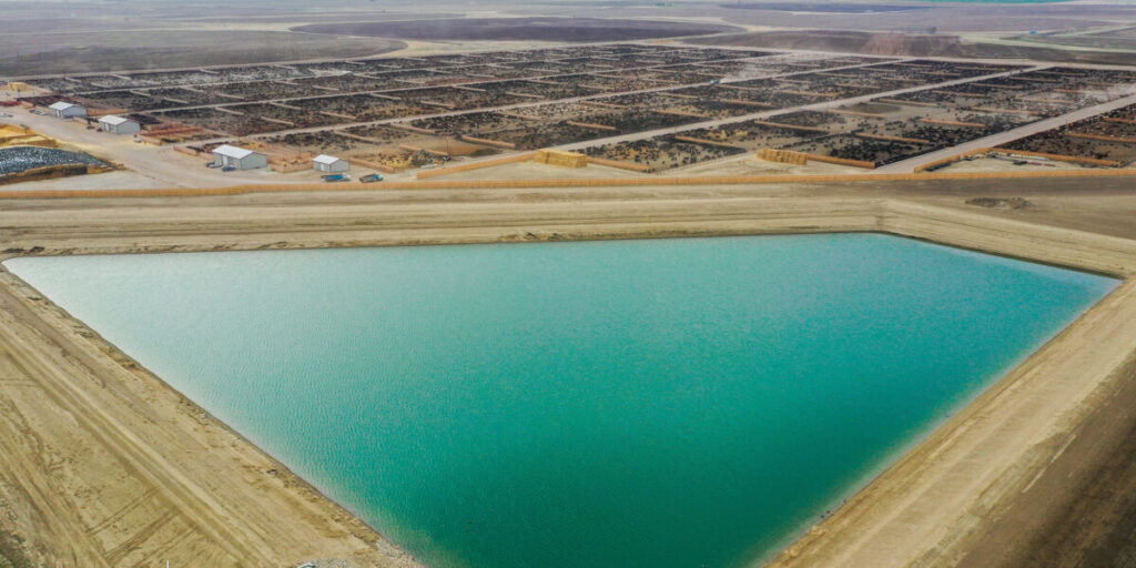 Livestock dugouts feedlot