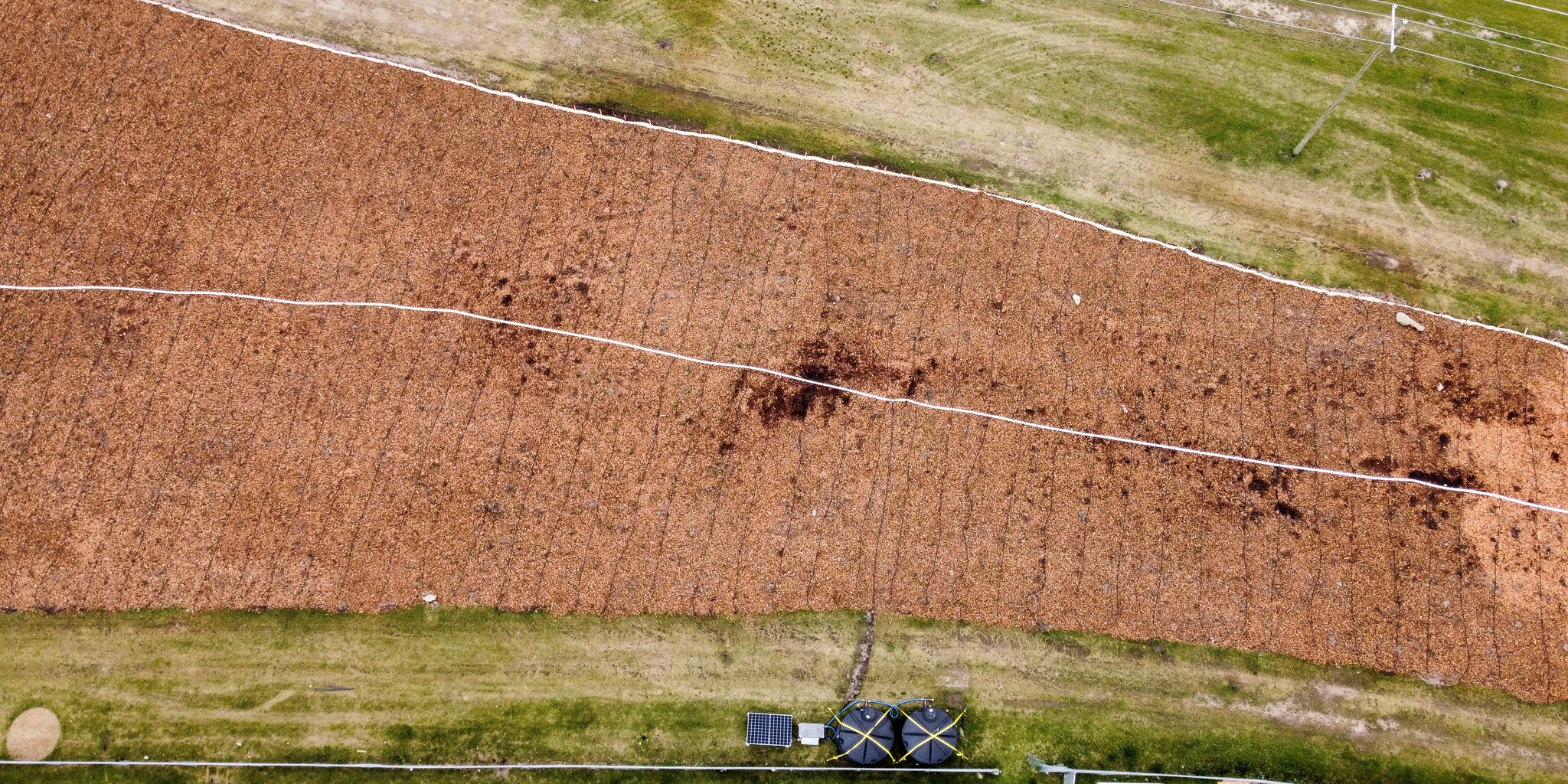 drip irrigation solar powered leaf ninjas
