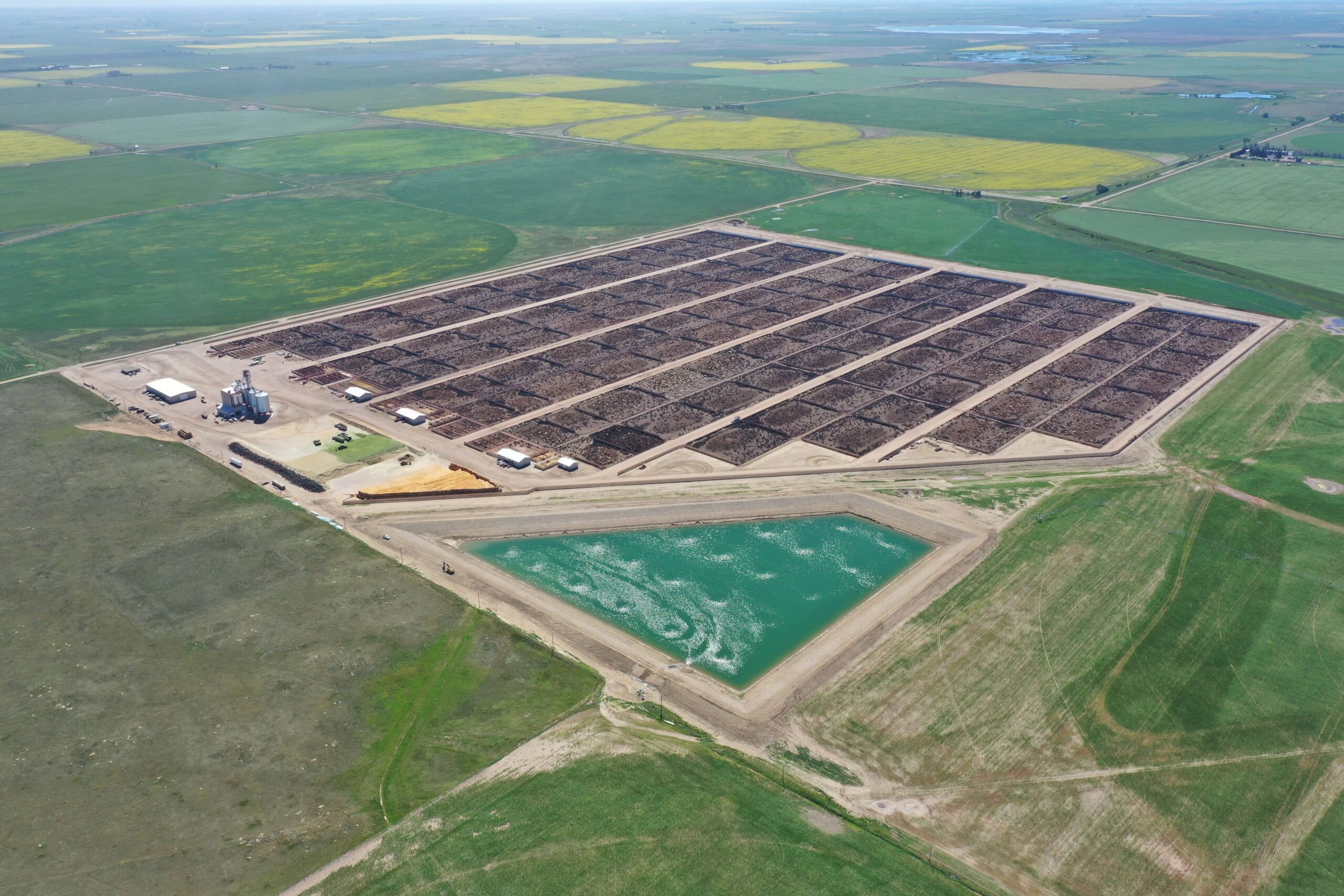 Serfas Farms Enchant Feedlot