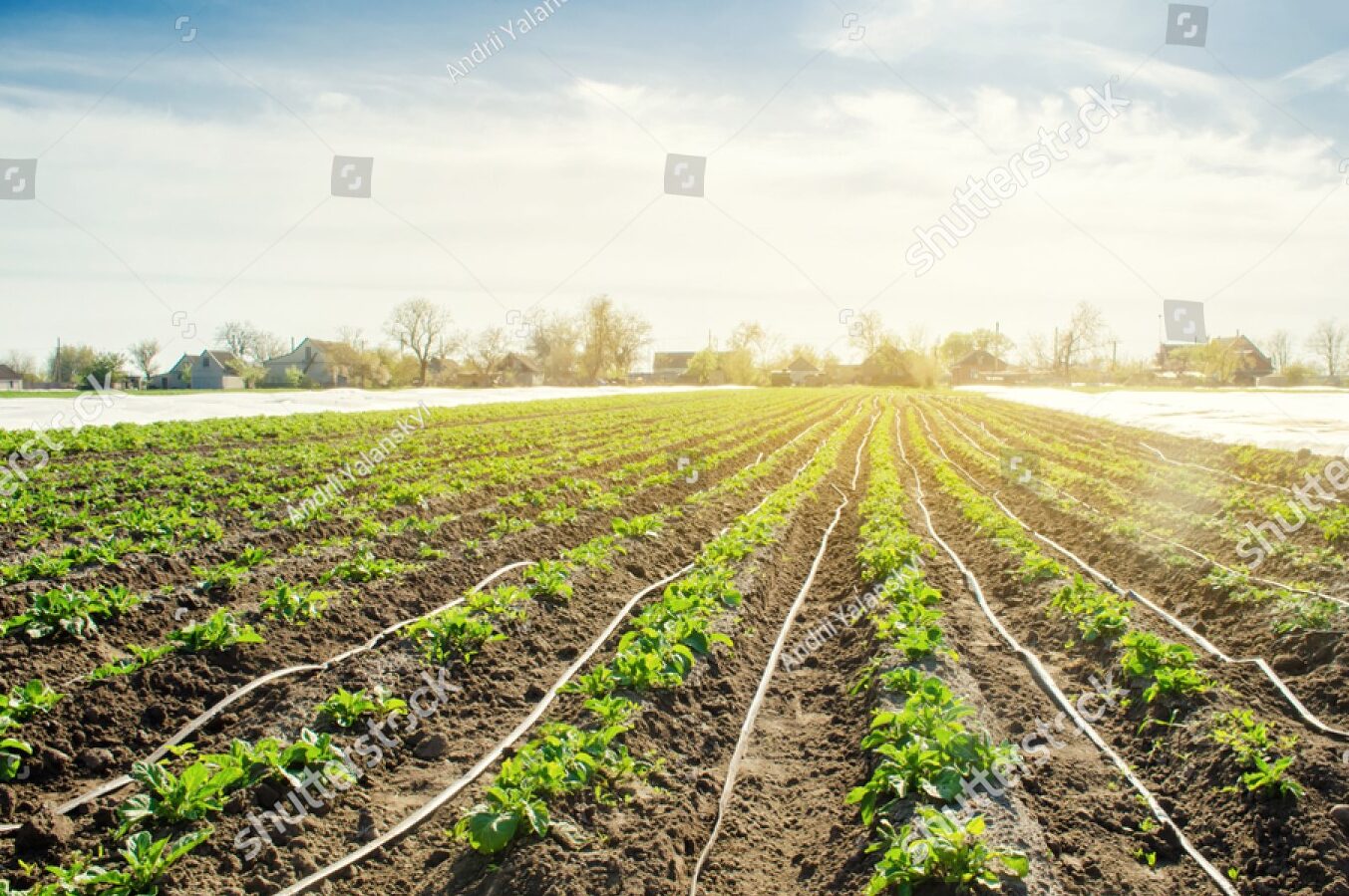 Agriculture Irrigation Agriculture irrigation water treatment