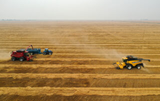 SDI during drought
