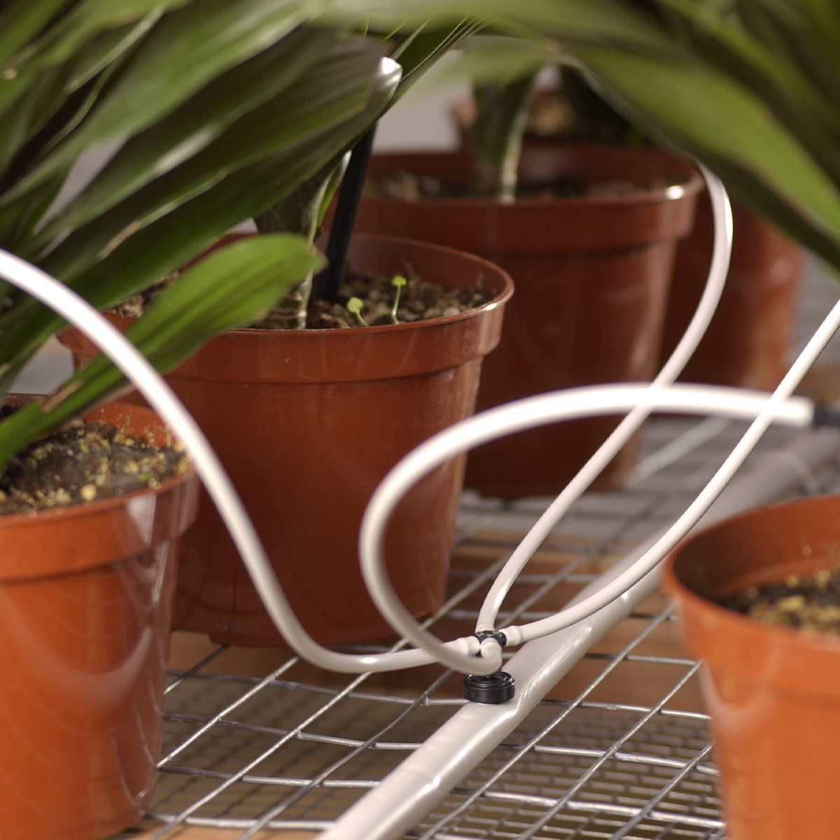 4 way dripper assembly