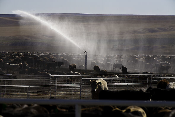 dust suppression nelson big gun sprinklers