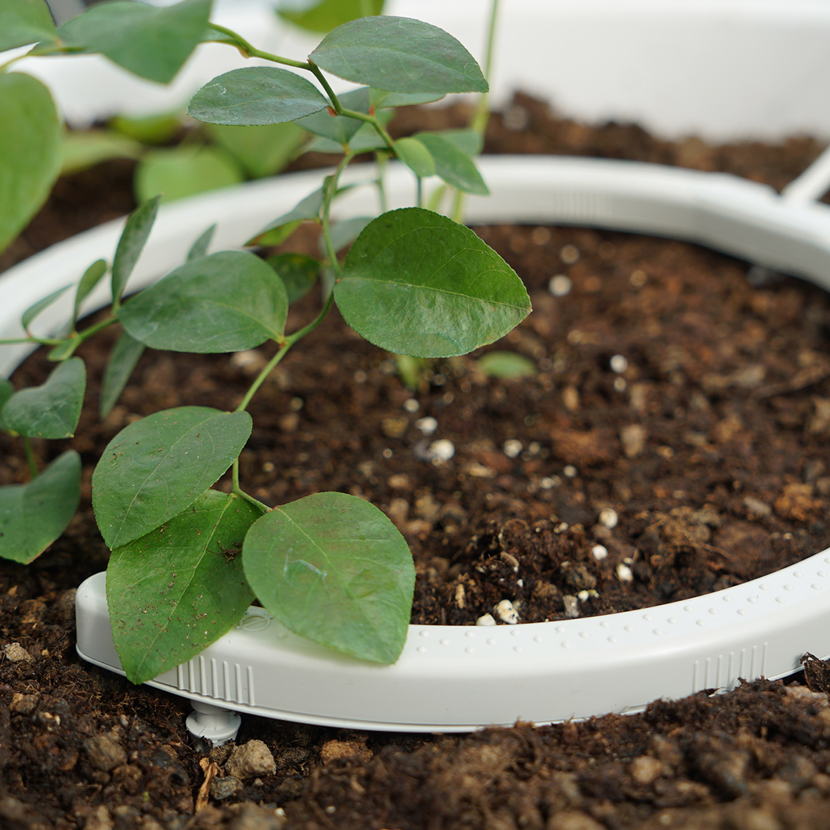 netbow greenhouse drip irrigation