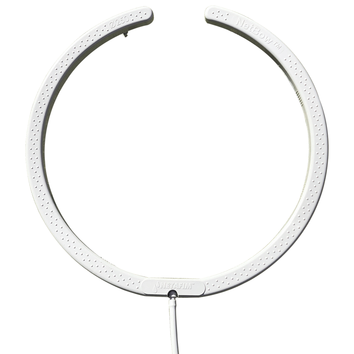 netbow top view
